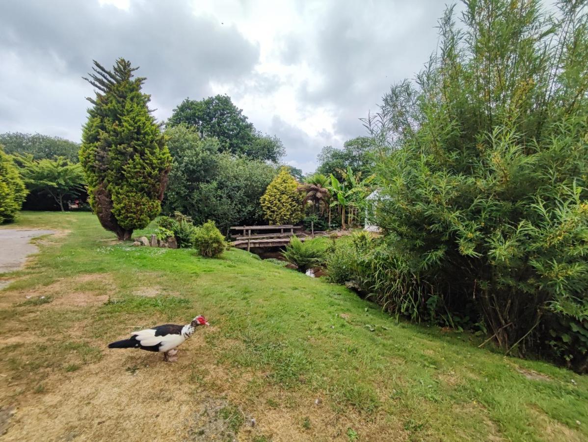 Villa Tree Fern Barn St Austell Esterno foto
